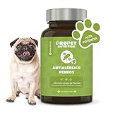 Guía Completa para Comprar Apoquel para Perros: Análisis y Comparativa de los Mejores Productos del Mercado