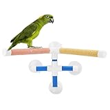 Las Mejores Cotorras en Venta: Análisis y Comparativa de las Razas Más Populares para Tu Mascota