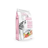 Los Mejores Piensos Carnívoros para Mascotas: Análisis y Comparativa de Productos Esenciales