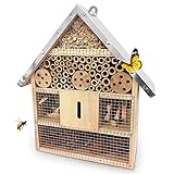 Los Mejores Proveedores para Comprar Insectos Vivos: Análisis y Comparativa de Productos para Alimentar a tus Mascotas