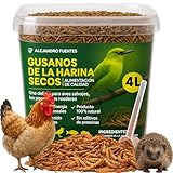 Guía Completa para Comprar Tenebrios: Comparativa de los Mejores Productos para Alimentar a tus Mascotas