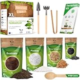 Guía Completa para Comprar Terranova: Análisis y Comparativa de los Mejores Productos para tu Mascota