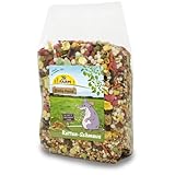 Ratas como Mascotas: Análisis de Precios y Comparativa de los Mejores Accesorios para su Cuidado