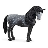 Los Mejores Caballos Españoles en Venta Baratos: Análisis y Comparativa para Encontrar a tu Compañero Ideal