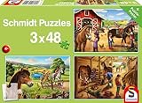 Guía Completa para Encontrar Caballos Baratos en Venta: Comparativa de Opciones y Consejos para Elegir el Mejor para Ti