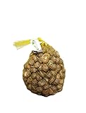 Guía Completa: Análisis y Comparativa de los Mejores Productos para Cuidar tu Granja de Caracoles como Mascotas
