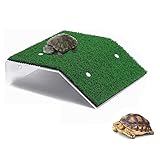 Guía Completa sobre la Venta de Tortugas: Comparativa de los Mejores Acuarios y Accesorios para su Cuidado