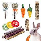 Guía Completa: Mejores Opciones de Conejos Enanos a la Venta y Productos Esenciales para su Cuidado