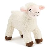 Guía Completa: Análisis y Comparativa de la Venta de Ovejas en Teruel como Mascotas Ideales