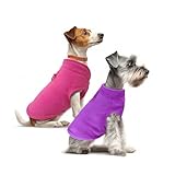 Guía de Compra: Los Mejores Abrigos Polares para Perros en 2023 - Comparativa y Análisis