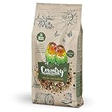 Cuánto Vale un Agaporni: Análisis de Costos y Comparativa de los Mejores Productos para su Cuidado