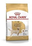 Todo lo que necesitas saber sobre la compra de un Labrador Retriever: Análisis y comparativa de los mejores productos para su cuidado
