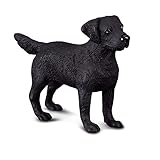 Guía de Compra: Los Mejores Productos para Labrador Retriever en Venta