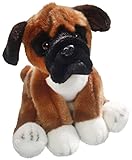 Guía de Compra: Los Mejores Productos para Perros Boxer en Venta