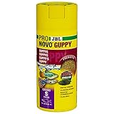Los Mejores Productos para el Cuidado de Guppies: Análisis y Comparativa de Acuarios, Alimentos y Equipos Esenciales