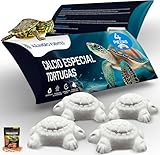 Guía de Precios y Comparativa de las Mejores Tortuguitas de Agua para tu Acuario: ¿Cuál Elegir?