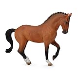 Guía Definitiva: Análisis y Comparativa de los Mejores Productos para Caballos Enfosados