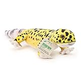 Guía Completa para la Compra de Gecko Leopardo: Análisis y Comparativa de los Mejores Productos en Venta