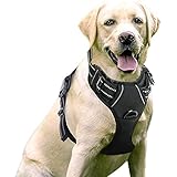 Guía Definitiva: Comparativa de los Mejores Arnés para Perros en el Mercado