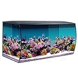 Guía Definitiva: Los Mejores Kits de Acuario de Agua Salada Completo para Principiantes y Expertos