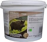 ¿Vale la pena? Análisis del precio de carne de jabalí por kilo para una alimentación premium de mascotas