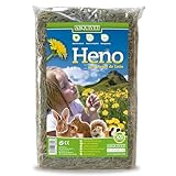 Guía Definitiva para Comprar Cobayas: Análisis y Comparativa de los Mejores Productos para el Cuidado de tu Mascota