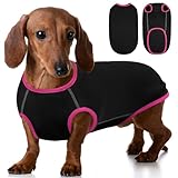 Las Mejores Opciones de Ropa para Perros Salchicha: Análisis y Comparativa de Estilos y Funcionalidad