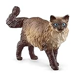 Guía Definitiva para Comprar Gatos Ragdoll: Análisis y Comparativa de los Mejores Criaderos y Productos Esenciales