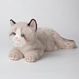 Descubre los Mejores Productos para el Cuidado de tu Gato Ragdoll Blanco: Análisis y Comparativa