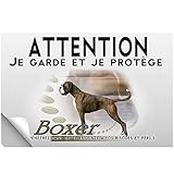 Guía Completa para la Venta de Cachorros Boxer: Comparativa de los Mejores Criadores y Consejos para Elegir a Tu Futuro Compañero
