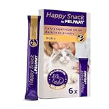 Comportamiento de Gatos en Verano: Análisis de los Mejores Productos para Mantener a tu Felino Feliz y Saludable