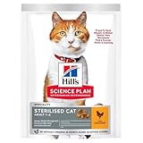 Hills Comida para Gatos: Análisis y Comparativa de las Mejores Opciones para la Salud de tu Felino