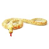 Todo lo que Necesitas Saber sobre la Serpiente de Maíz Snow: Comparativa de los Mejores Terrarios y Accesorios para su Cuidado