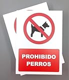 Descubre la Platja de Gossos Sitges: Análisis de los Mejores Productos para Disfrutar con tu Mascota en la Playa