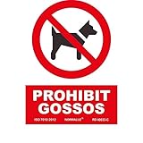 Las Mejores Accesorios para Disfrutar en la Platja dels Gossos de Mataró: Análisis y Comparativa