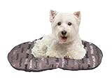 Las Mejores Almohadas para Perros: Análisis y Comparativa de Cómpralas con Confianza