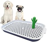 Las Mejores Bañeras para Perros en Casa: Análisis y Comparativa de Productos para el Cuidado de tu Mascota