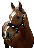 Análisis de las Mejores Cabezas de Cuadra para Caballos: Comparativa de Productos Esenciales para el Bienestar Equino