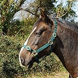 Las Mejores Cabezas para Caballos: Análisis y Comparativa de Productos Esenciales para tu Equino