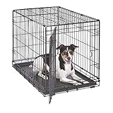 Las Mejores Cajas para Perros: Análisis y Comparativa de Dog Boxes para el Bienestar de tu Mascota