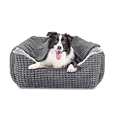 Las Mejores Camas Cueva para Perros: Análisis y Comparativa de Opciones Confortables para tu Mascota