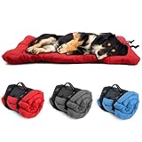 Las Mejores Camas de Viaje para Perros: Análisis y Comparativa de Opciónes para Viajar Cómodamente con tu Mascota