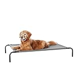 Las Mejores Camas para Perros Originales: Análisis y Comparativa de Estilos y Comodidad