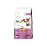 Los Mejores Productos para Tu Gato de 6 Meses: Análisis y Comparativa para el Cuidado Ideal