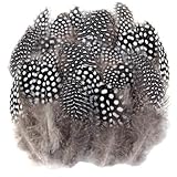 Plumas de Gallina: ¿El Mejor Material Natural para la Cama de Tu Mascota? Análisis y Comparativa de Productos