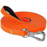 Las Mejores Correas de PVC para Perros: Análisis y Comparativa de Productos Esenciales para Tu Mascota