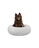 Las Mejores Cestas para Perros: Análisis y Comparativa de Opciones para el Descanso Perfecto de tu Mascota