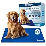 Las Mejores Colchonetas Frías para Perros: Análisis y Comparativa de Productos que Mantendrán a tu Mascota Fresca y Cómoda