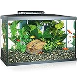 Los Mejores Acuarios en Santander: Análisis y Comparativa de Productos para Crear el Hábitat Perfecto para tus Peces