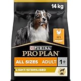 Las Mejores Comidas para Perros Esterilizados: Análisis y Comparativa de los Productos Más Efectivos